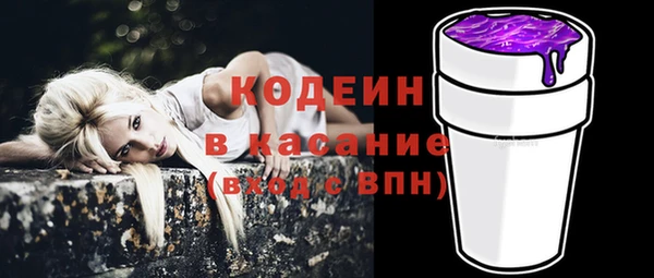 первитин Няндома